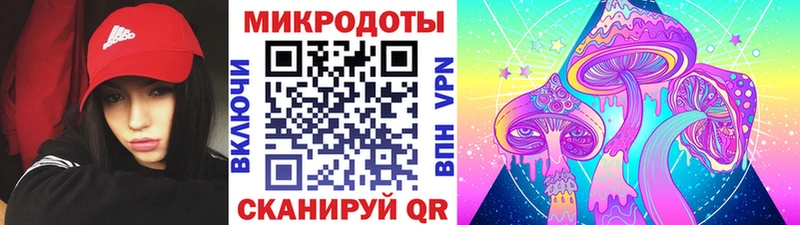 Галлюциногенные грибы Cubensis Ковылкино